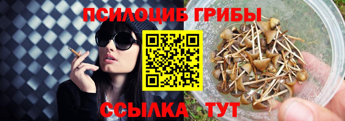 Галлюциногенные грибы Cubensis Михайловка