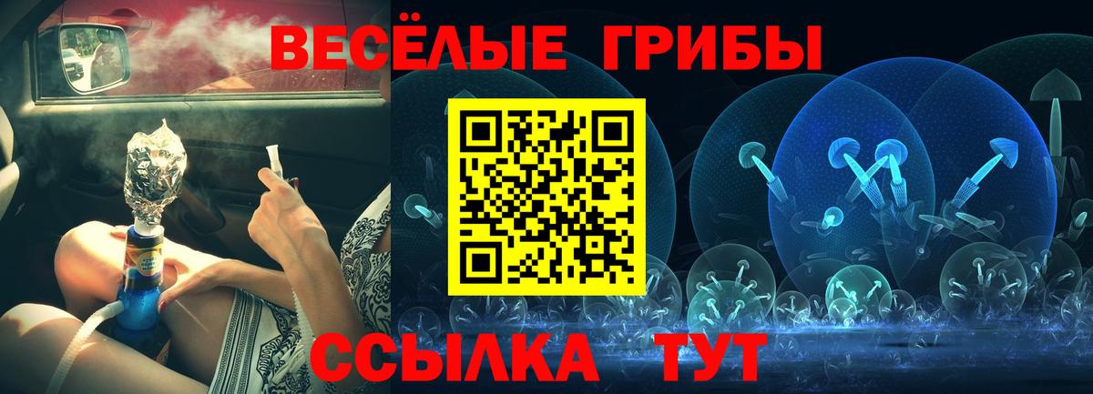 Псилоцибиновые грибы Psilocybine cubensis  Вход с VPN  Михайловка  Галлюциногенные грибы мухоморы 